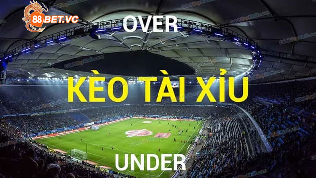 Kinh nghiệm cược tài xỉu 0.5/1